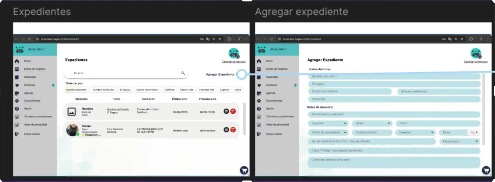 Prototipo web para negocios Baguu