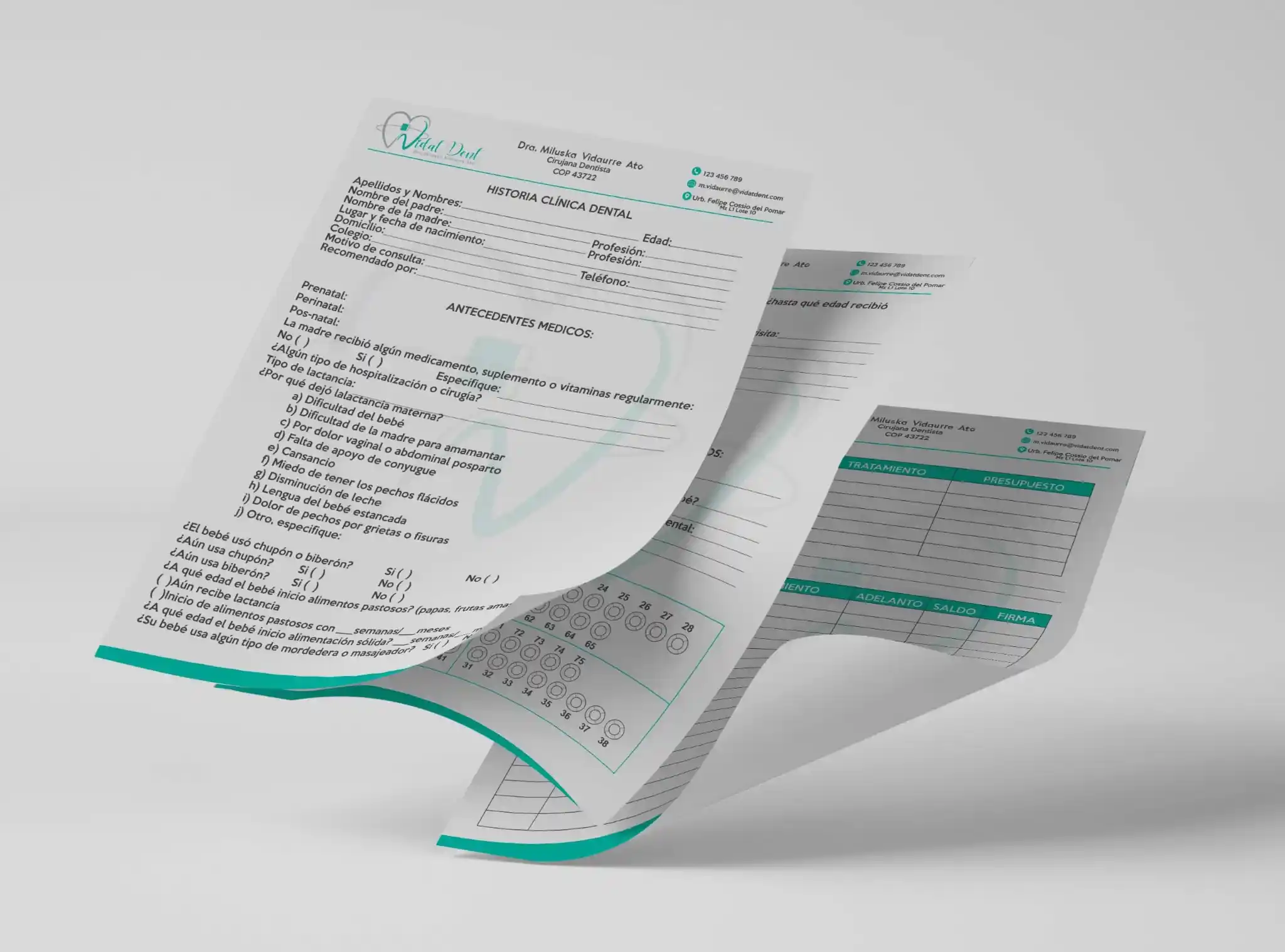 Sistema de documentos y papelería Vidat Dent